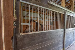 387 George Ln, Wheatfield Township (East/West), PA 15954 - Photo 36