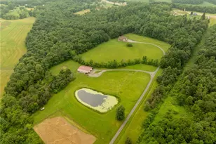 387 George Ln, Wheatfield Township (East/West), PA 15954 - Photo 42