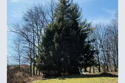 4788 Wexford Run Road, Bradford Woods, PA 15090 - Photo 32