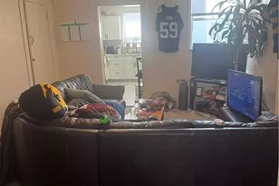 1918 Sarah St, Pittsburgh, PA 15203 - Photo 20