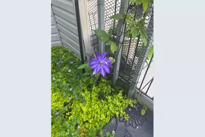 2358 Mount Vernon Avenue, Murrysville, PA 15632 - Photo 44