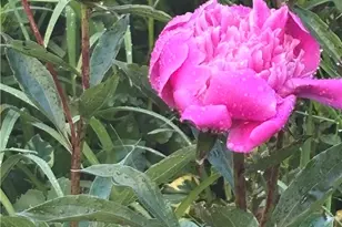 2358 Mt Vernon Ave, Murrysville, PA 15632 - Photo 42