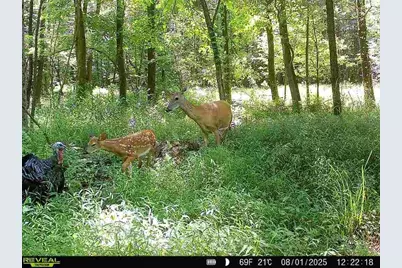 0 Rs 258, Liberty Township, PA 16127 - Photo 1