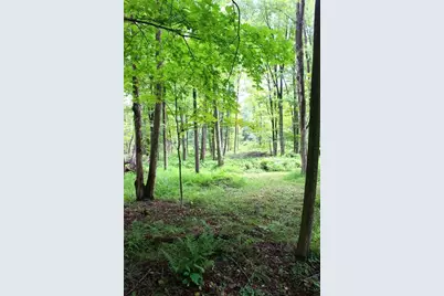 0 Rs 258, Liberty Township, PA 16127 - Photo 10
