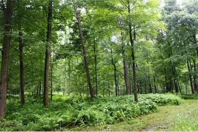 0 Rs 258, Liberty Township, PA 16127 - Photo 6