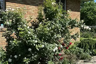 1247 Larimer Ave, Lincoln Larimer, PA 15206 - Photo 26