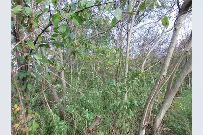 0 Oliver Drive, Forward Township, PA 15037 - Photo 8