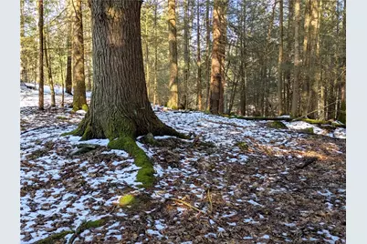 160 Mill Run School Rd, Wharton Township, PA 15437 - Photo 16