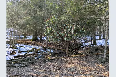 160 Mill Run School Rd, Wharton Township, PA 15437 - Photo 10