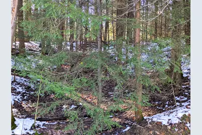 160 Mill Run School Rd, Wharton Township, PA 15437 - Photo 6