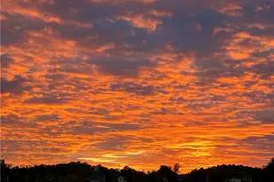 5009 Firwood Dr, Cecil, PA 15317 - Photo 44