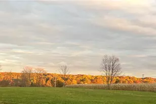 785 Cameron Rd, Hickory Township, PA 16101 - Photo 44