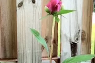 110 Lager Dr, West Deer, PA 15044 - Photo 38