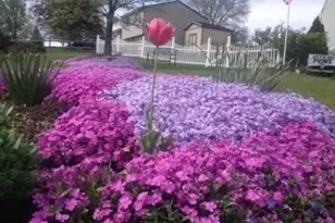 110 Lager Dr, West Deer, PA 15044 - Photo 40