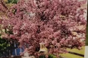 110 Lager Dr, West Deer, PA 15044 - Photo 44