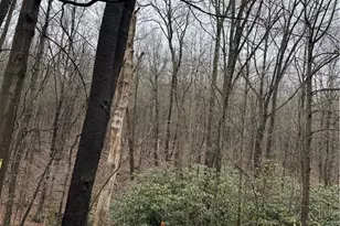 0 Spruce Hollow Rd, Bullskin Township, PA 15425 - Photo 1