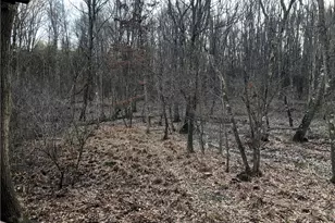 1074 Nemacolin Dr, Ohiopyle, PA 15470 - Photo 44