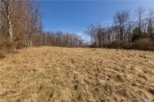 250 McFann Rd, Middlesex Township, PA 16059 - Photo 14