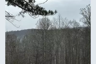 702 Shepherd Rd, Wharton Township, PA 15437 - Photo 4