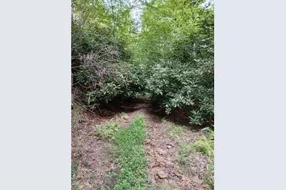 702 Shepherd Rd, Wharton Township, PA 15437 - Photo 8