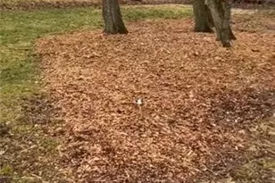 0 Klein Pl, Baldwin Twp, PA 15226 - Photo 2