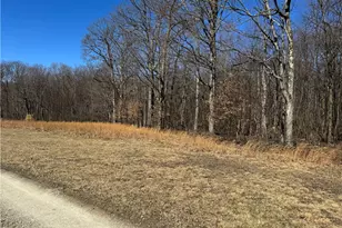 259 Carey Ln, Derry Township, PA 15658 - Photo 10