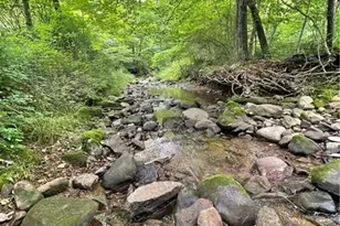 00 Greenlee Rd Lot, Sandy Lake Township, PA 16342 - Photo 1