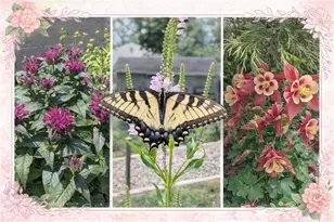 1325 Parkway Rd, Pittsburgh, PA 15237 - Photo 40