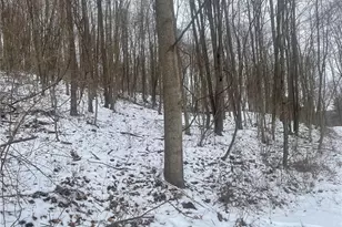 130 Wood, Fairfeld Township, PA 15923 - Photo 1