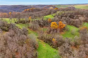327 Sugar Run Rd, Franklin Township, PA 15370 - Photo 40