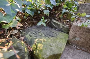 5971 Cherryview Ln, Bethel Park, PA 15102 - Photo 40