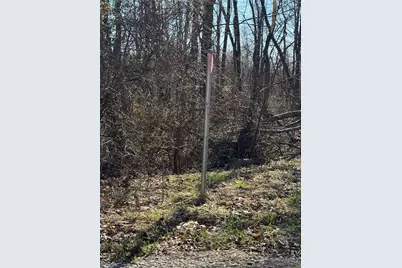 0 Twp Rd 419 Nr Bessemer, German Township, PA 15478 - Photo 10