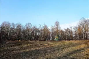 00 Blackleggs Rd, Conemaugh-Yough Townships, PA 15681 - Photo 1