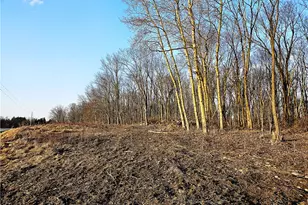 00 Blackleggs Rd, Conemaugh-Yough Townships, PA 15681 - Photo 4