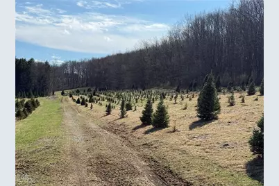 0 Prospect Rd, Connoquenessing Township, PA 16033 - Photo 6