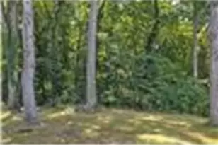 446 Amherst Ave, Moon/Crescent Twp, PA 15108 - Photo 28