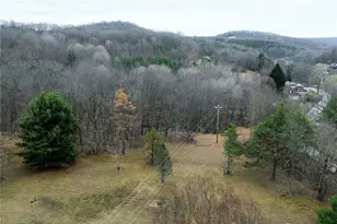 8886 Route 954 Hwy, Washington/Creekside, PA 15732 - Photo 42