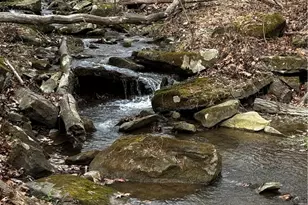 273 Rockdale Rd, Penn Township, PA 16002 - Photo 46