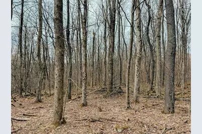 Lot F-1 Fern Mountain Rd, Donegal, PA 15501 - Photo 1