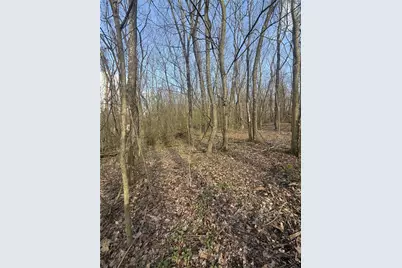 0 Main St, North Union Township, PA 15456 - Photo 6