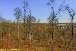 1146 Olivia Dr, North Fayette, PA 15071 - Photo 24