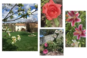 625 Preferred Dr, South Franklin, PA 15301 - Photo 48