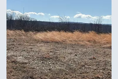 Lot Auction Ln, Wheatfield Township (East/West), PA 15954 - Photo 4