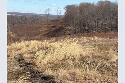 Lot Auction Ln, Wheatfield Township (East/West), PA 15954 - Photo 12