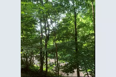 201 Cornell Ave, Pittsburgh, PA 15229 - Photo 48