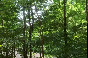 201 Cornell Ave, Pittsburgh, PA 15229 - Photo 48