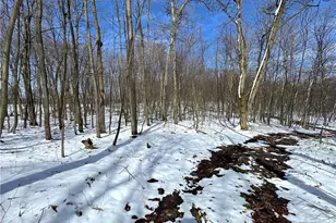 230 Grandview Rd, Bullskin Township, PA 15610 - Photo 38