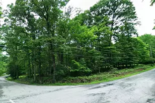 713 Horse Shoe Bend Rd, Bullskin Township, PA 15610 - Photo 1