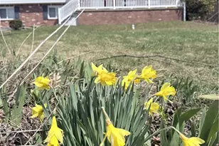 1455 State Route 130, Unity Township, PA 15601 - Photo 2