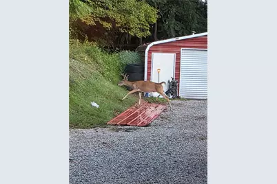 225 Old Ferry, Dry Tav-Rices Landing, PA 15357 - Photo 28